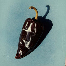 Black Pepper Extract (Piper nigrum)