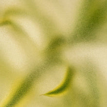 Green Tea Extract (Camellia sinensis)