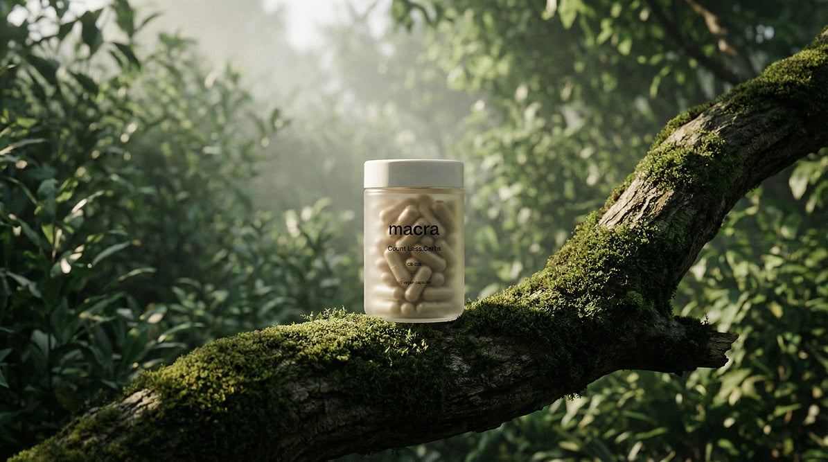 <h2>Gentle, effective<br/>support from real<br/>ingredients</h2>